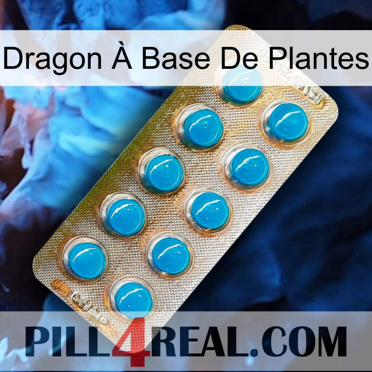 Dragon À Base De Plantes new09